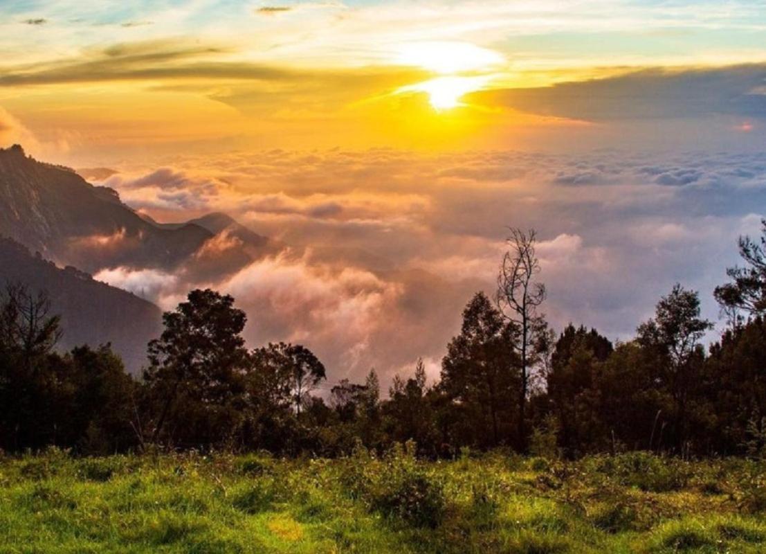 Cloud Walk Bed & Breakfast โกไดกานัล ภายนอก รูปภาพ