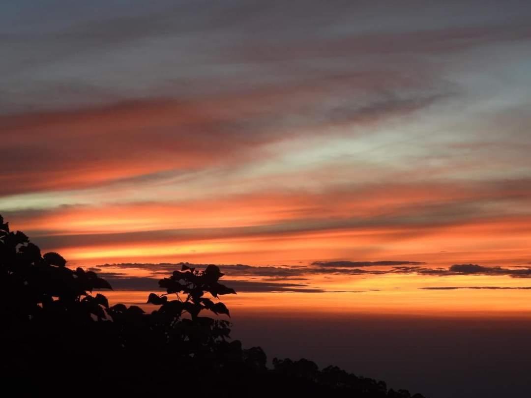 Cloud Walk Bed & Breakfast โกไดกานัล ภายนอก รูปภาพ