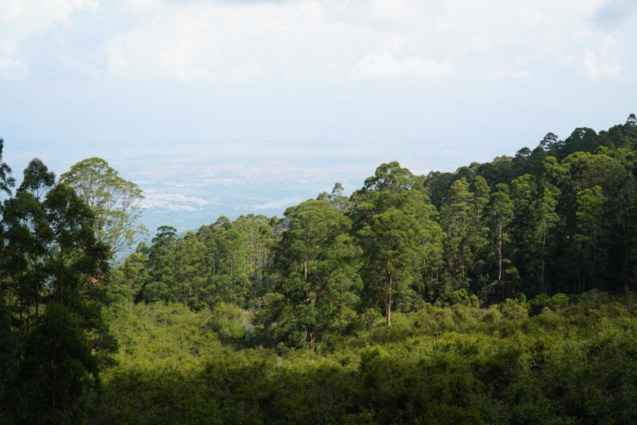 Cloud Walk Bed & Breakfast โกไดกานัล ภายนอก รูปภาพ