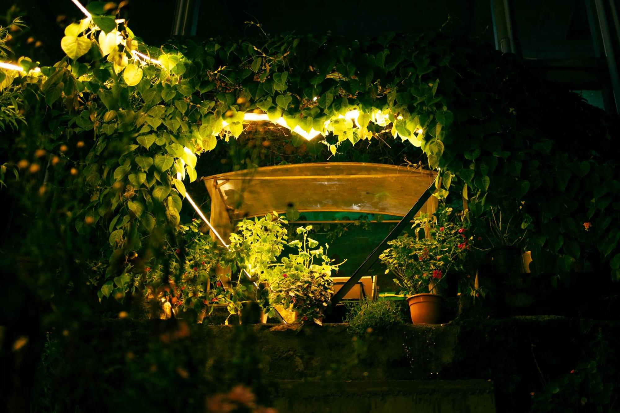 Cloud Walk Bed & Breakfast โกไดกานัล ภายนอก รูปภาพ
